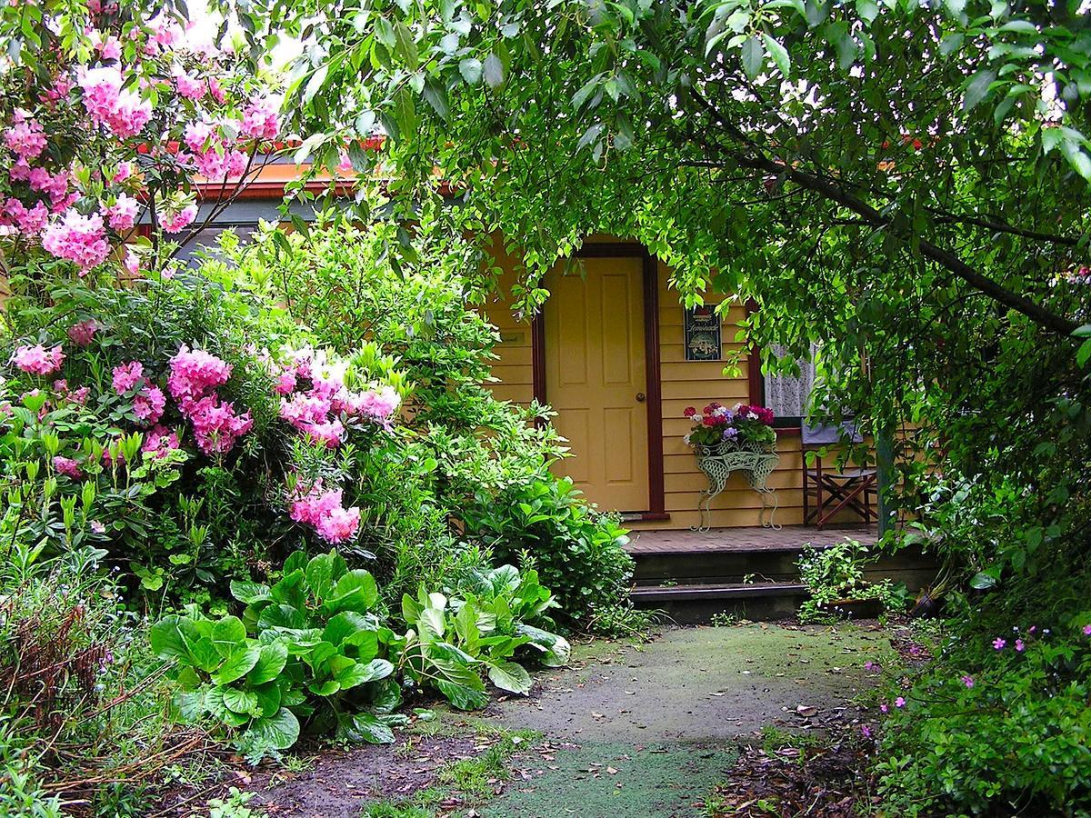Lemonade Creek Cottages Lorne Exterior photo