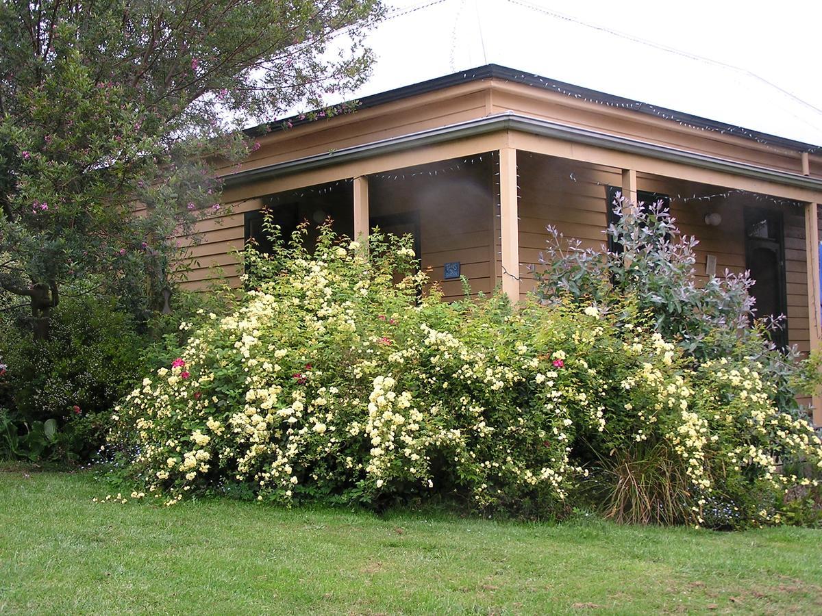 Lemonade Creek Cottages Lorne Exterior photo