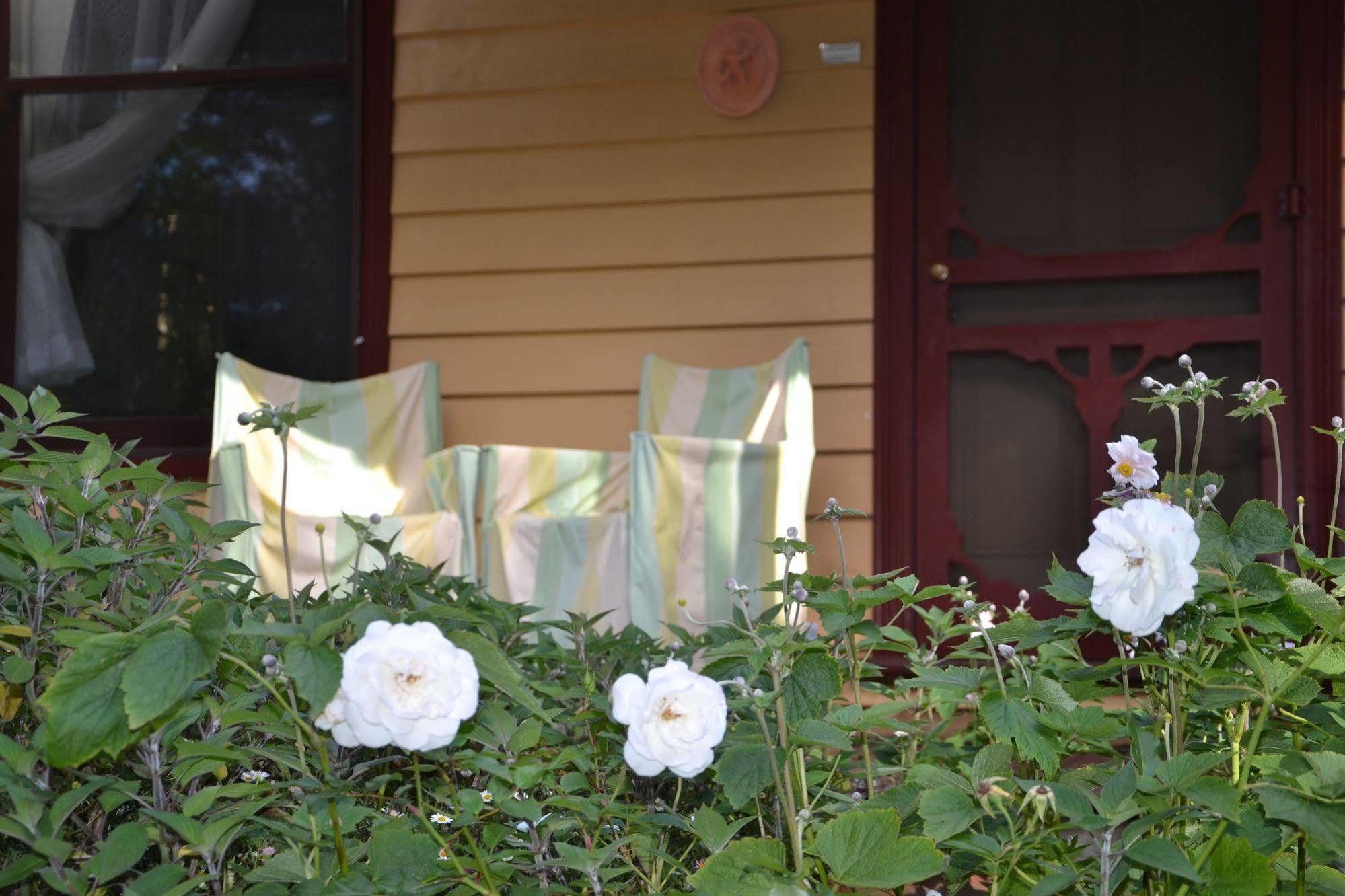 Lemonade Creek Cottages Lorne Exterior photo